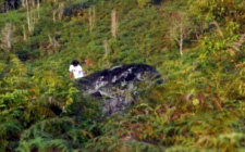 5D4N Bario and Ba Kelalan Jungle Expedition 