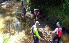 5D4N Bario and Ba Kelalan Jungle Expedition 