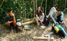 5D4N Bario and Ba Kelalan Jungle Expedition 