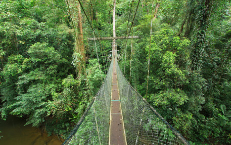 3D2N Mulu Caves - A Unesco World Heritage