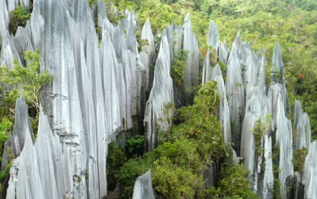 3D2N Mulu Caves - A Unesco World Heritage