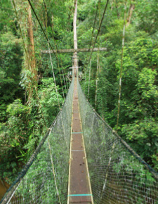 4D3N Mulu Caves & Pinnacles