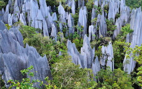 4D3N Mulu Caves & Pinnacles