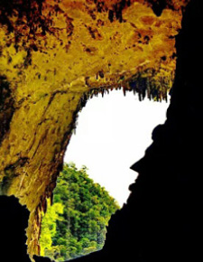 4D3N Mulu Caves & Pinnacles