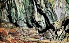 4D3N Mulu Caves & Pinnacles