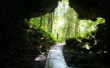 4D3N Mulu Caves & Pinnacles