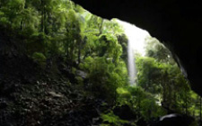 5D4N Gunung Mulu Summit