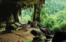 Tour Packages - Miri