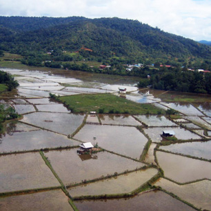 3D2N Bario Central